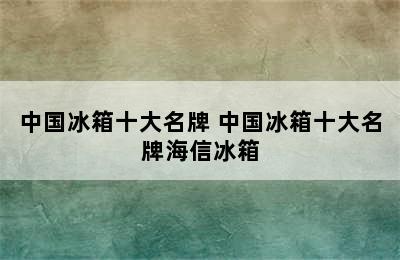 中国冰箱十大名牌 中国冰箱十大名牌海信冰箱